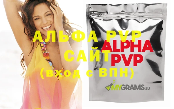 гашик Михайловск