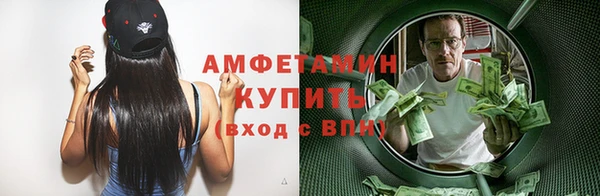 гашик Михайловск