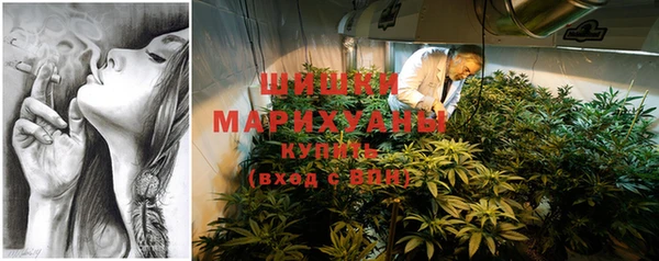 гашик Михайловск