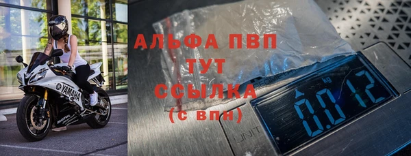 гашик Михайловск
