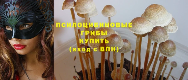 кристаллы Кадников