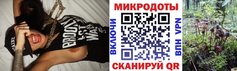 цена наркотик  OMG ссылки  Псилоцибиновые грибы MAGIC MUSHROOMS  Орлов 